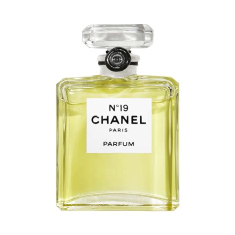 buy chanel no 19|where to buy chanel 19.